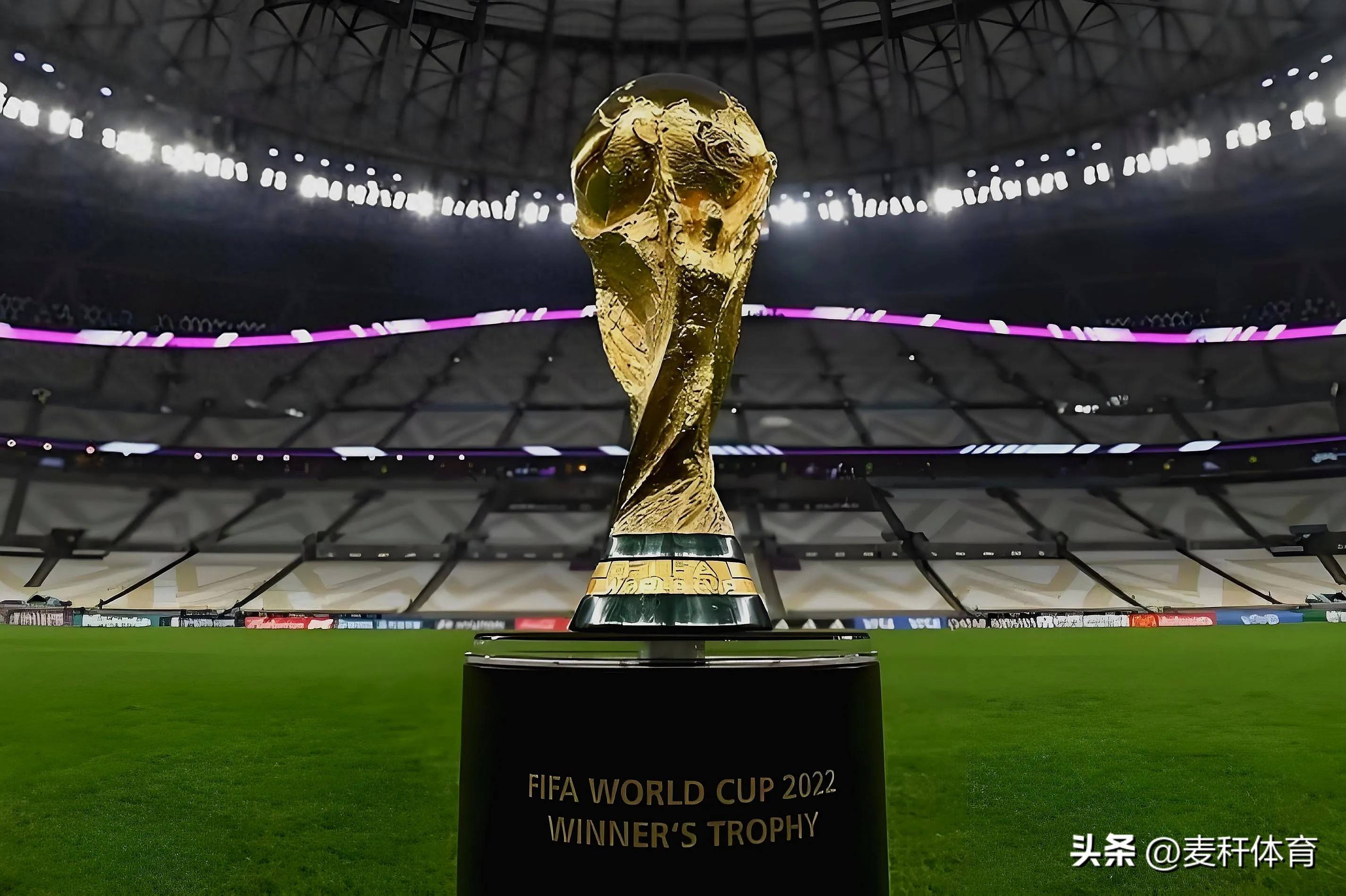 强的完美历 强的完美历