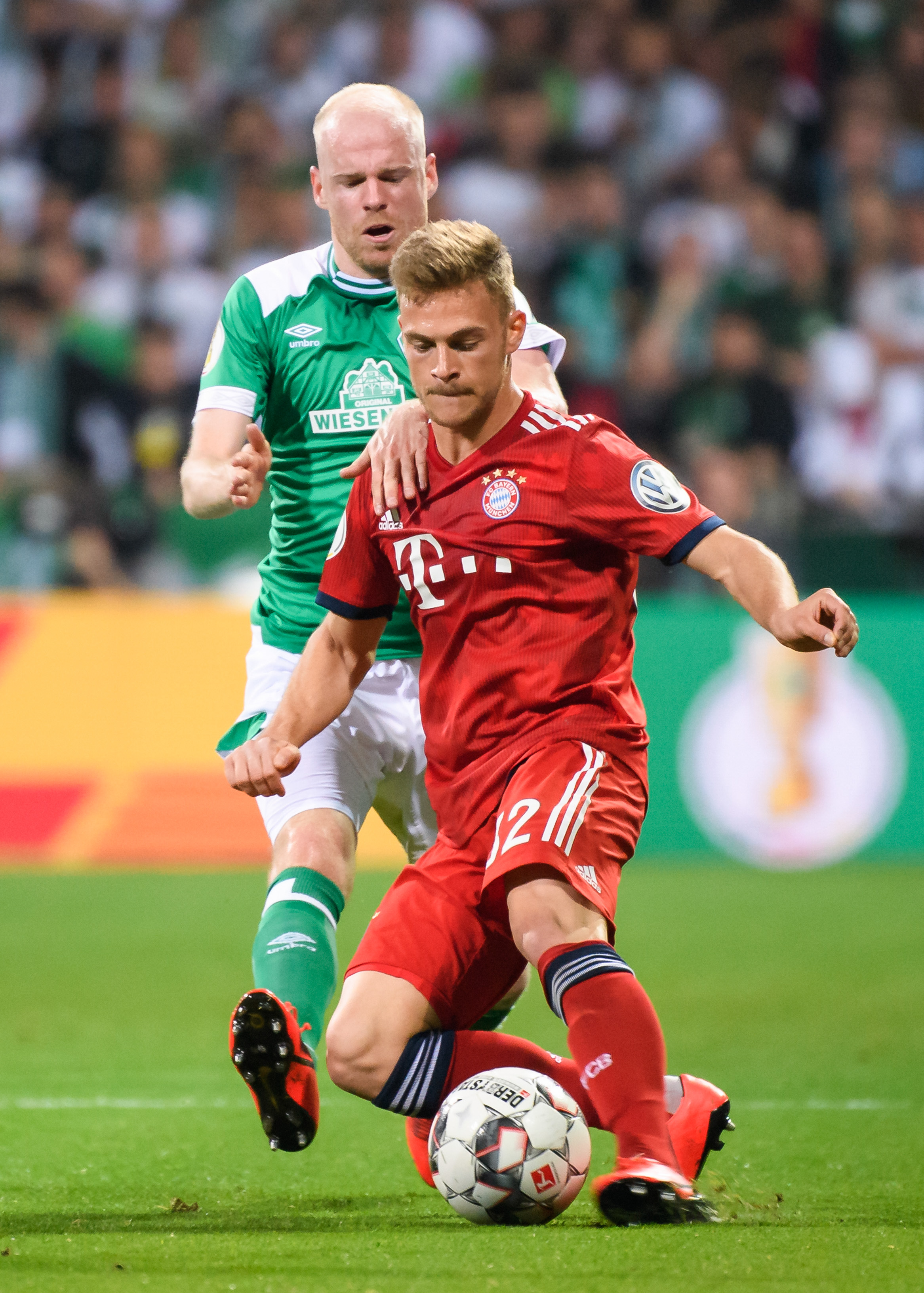 外形和与生 外形和与生